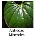 AntiedadMinerales