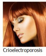 Crioelectroporosis
