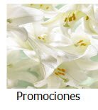 Promociones